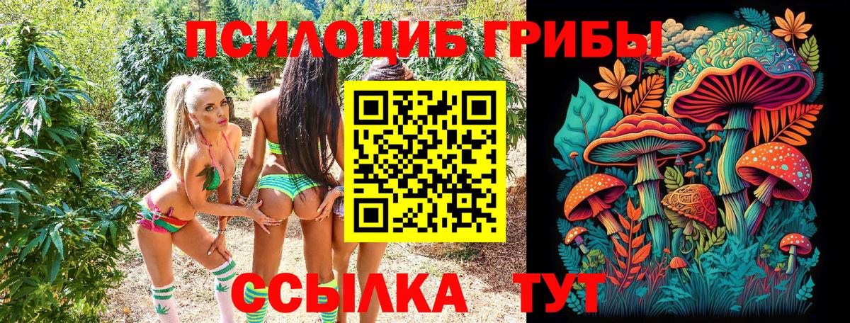 Галлюциногенные грибы Psilocybine cubensis Краснознаменск
