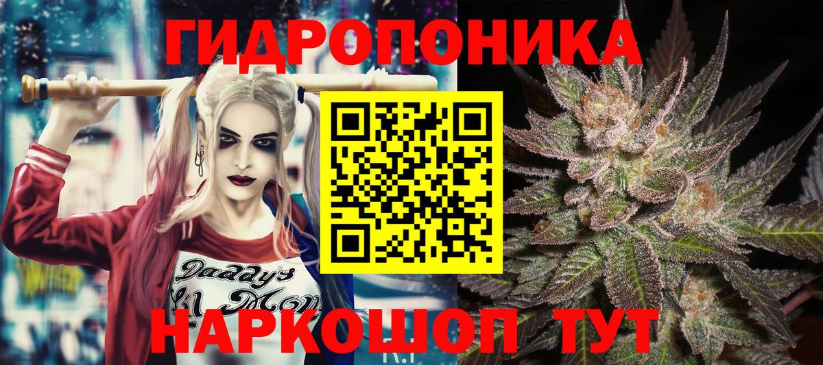 Бошки Шишки SATIVA & INDICA  Вход с VPN  Конопля гибрид  Шишки марихуана ГИДРОПОН  Краснознаменск  Бошки марихуана планчик 